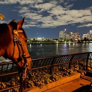 Meet your Posher, Kyle